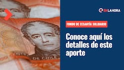 Fondo de Cesantía Solidario: ¿Cuáles son los requisitos para acceder y cuánto dinero se entrega?