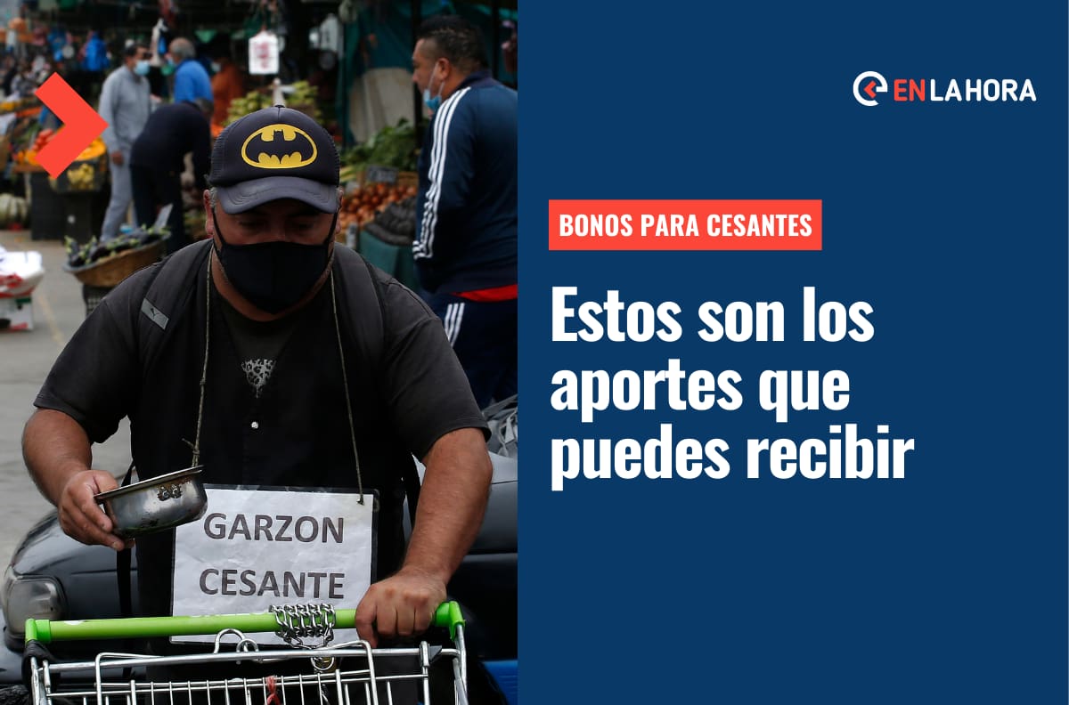 Bonos para Cesantes: Revisa a qué aportes puedes acceder si te encuentras sin empleo