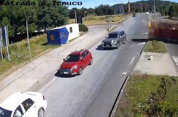 VIDEO | Impactante choque en Villarrica: camión con caballos se volcó y los animales terminaron en la calle