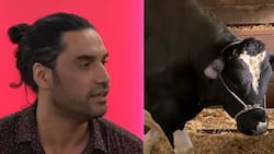 "El presupuesto era menor que Hollywood": Felipe Contreras recordó la emblemática del escena del toro en "Amanda"