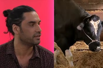 "El presupuesto era menor que Hollywood": Felipe Contreras recordó la emblemática del escena del toro en "Amanda"