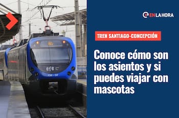 Tren Nocturno Santiago-Concepción: Conoce cómo son los asientos y si puedes viajar con mascotas