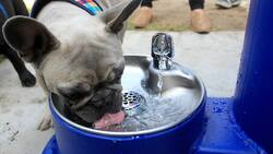 Ola de Calor en Santiago: Estos son los puntos de hidratación a los que puedes recurrir