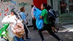 12 funcionarios heridos y uno en estado grave dejó riña entre ambulantes e inspectores municipales