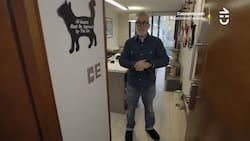 Gatos y música: Este es el departamento de Sergi Arola