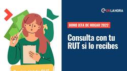 Bono Jefa de Hogar 2022: Revisa con tu RUT si recibes este aporte de hasta $19 mil por mes