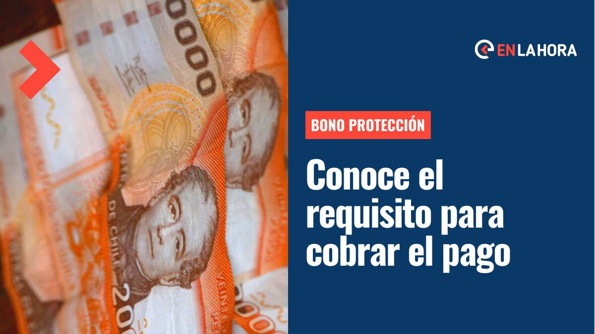 Bono Protección 2022: Revisa si cuentas con el único requisito para recibir el pago mensual por dos años