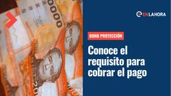Bono Protección 2022: Revisa si cuentas con el único requisito para recibir el pago mensual por dos años