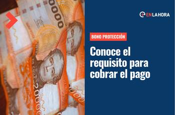 Bono Protección 2022: Revisa si cuentas con el único requisito para recibir el pago mensual por dos años