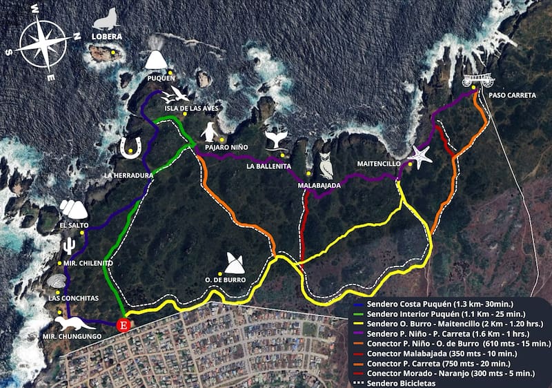 Estos son todos lo senderos que puedes encontrar en el Bioparque. Foto: reservapuquen.cl