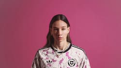 IMÁGENES: Así será la sorprendente nueva camiseta de la Selección Chilena