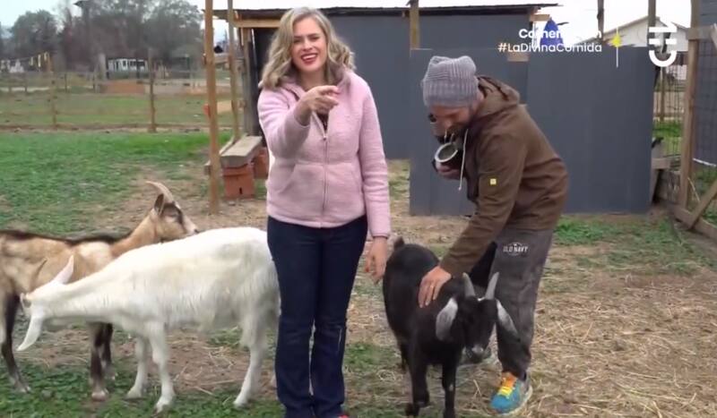 Así es la casa de Federico Koch y Eliana Albasetti.