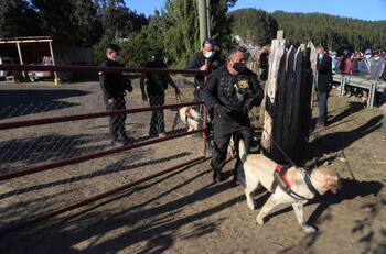 Desesperada búsqueda: Esto es lo que se sabe del extravío de Tomás Bravo