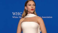 La película protagonizada por Scarlett Johansson que está disponible en Max