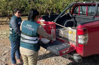 ¿Buscas trabajo?: SAG tiene vacantes y ofrece sueldos desde $1.400.000