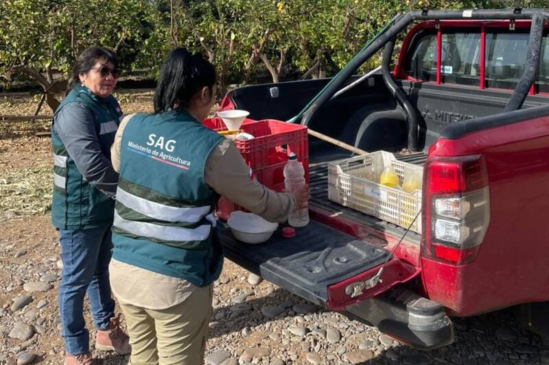 El SAG busca personas que se sumen a su equipo.