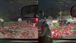 VIDEO | Camión que transportaba cervezas volcó en Autopista Central: generó gran congestión vehicular