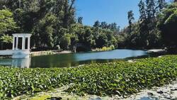 La reconstrucción del Jardín Botánico se financiará con un evento solidario: Así puedes comprar tu entrada