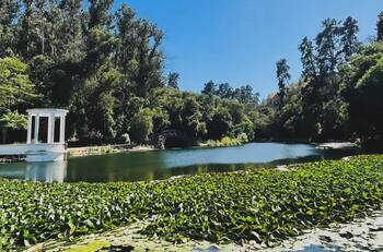 La reconstrucción del Jardín Botánico se financiará con un evento solidario: Así puedes comprar tu entrada