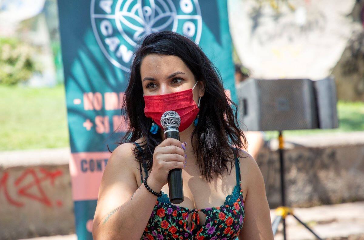 Constituyente Manuela Royo presentó querella por amenazas en su contra a través de redes sociales