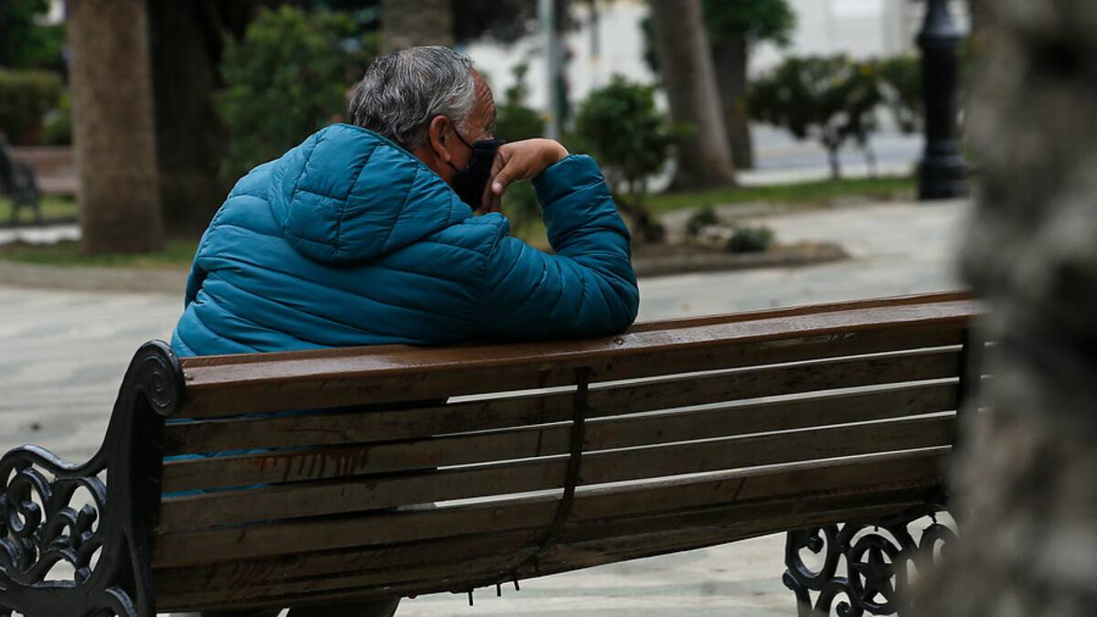 Retiro de AFP 2.0: Pamela Jiles insiste en fondos estarían para Navidad