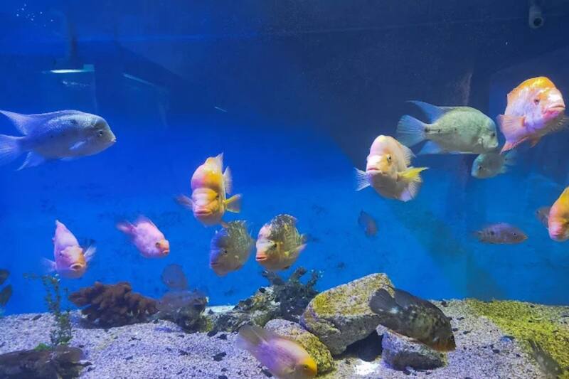 Este es el mejor panorama para disfrutar en familia sin salir de la capital.