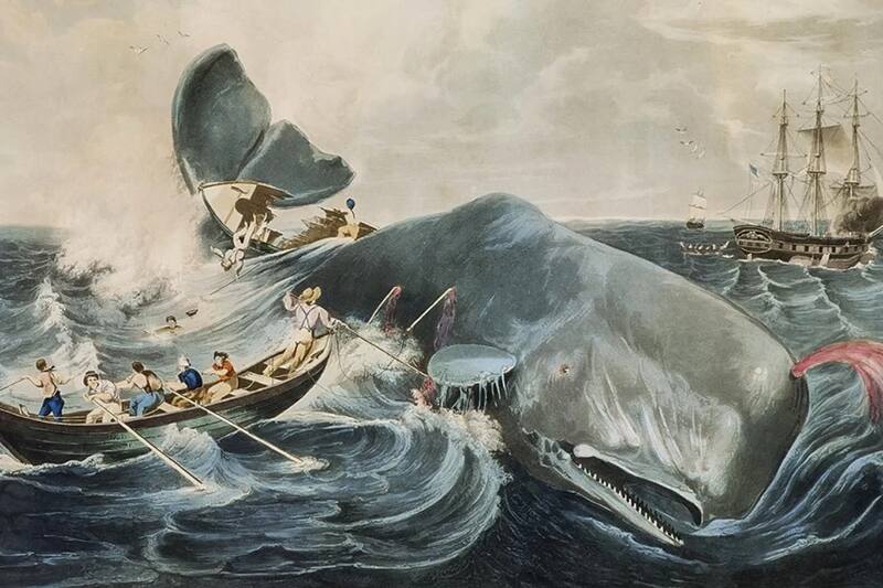 Se publica la célebre novela literaria inspirada en el fracaso de una tripulación marina por el océano Pacífico.