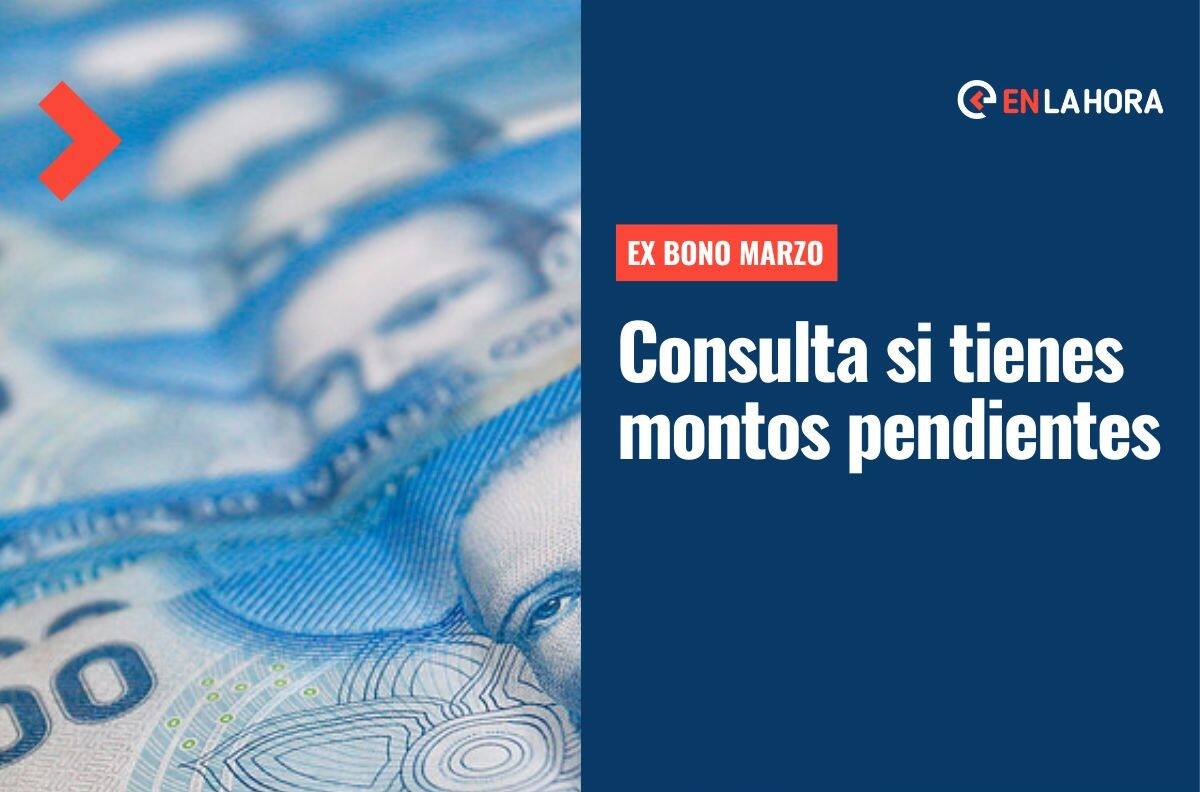 Ex Bono Marzo: Consulta con tu RUT si tienes pagos pendientes de este aporte de $52.710 por carga familiar