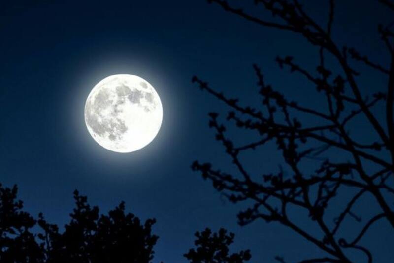 Conoce cuándo podrás ver la Luna Llena de marzo. Créditos: Pinterest