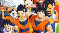 Inteligencia Artificial muestra cómo lucirían los personajes de Dragon Ball Z en la vida real