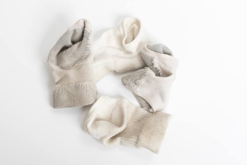 Conoce cuáles son los consejos.