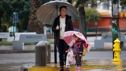Vuelta a clases será con lluvias en la zona centro-sur de Chile: estos serán los sectores afectados