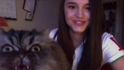 VIDEO | Gato soprano canta junto a su humana y se vuelve viral en redes sociales