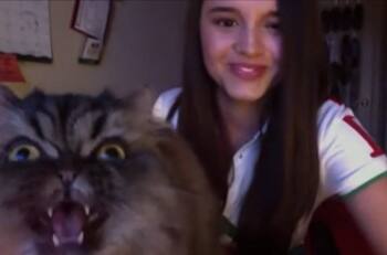 VIDEO | Gato soprano canta junto a su humana y se vuelve viral en redes sociales