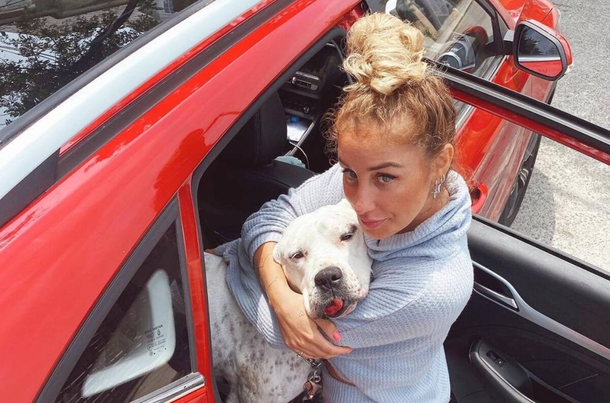 "Hay cosas que no tienen explicación": Tras la partida de su perro Guapo, Dani Castro enfrenta la muerte de otra querida mascota