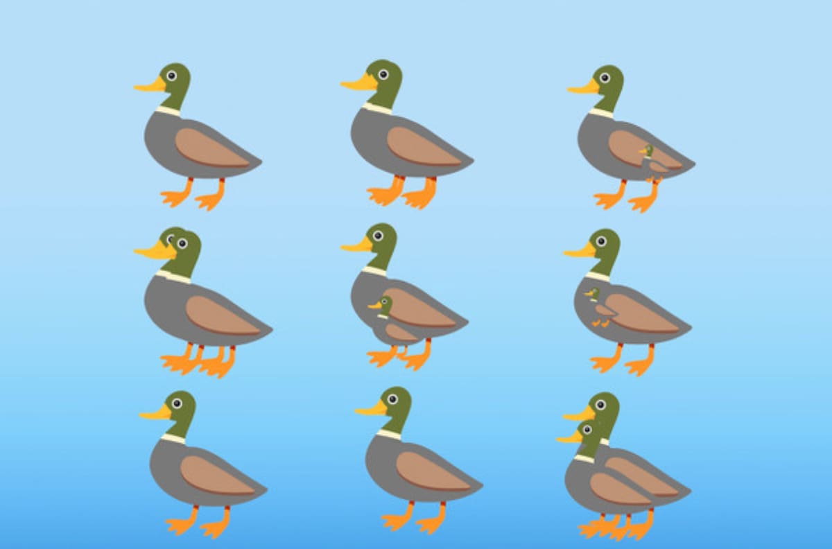 Test Visual: ¿Puedes contar cuántos patos hay en esta imagen en menos de 10 segundos?