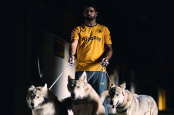VIDEO | Diego Costa pasó el susto de su vida: fue oficializado con lobos de verdad en Wolverhampton