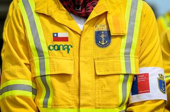 CONAF publica diferentes ofertas de trabajo: sueldos parten en $697.000 y alcanzan $2 millones