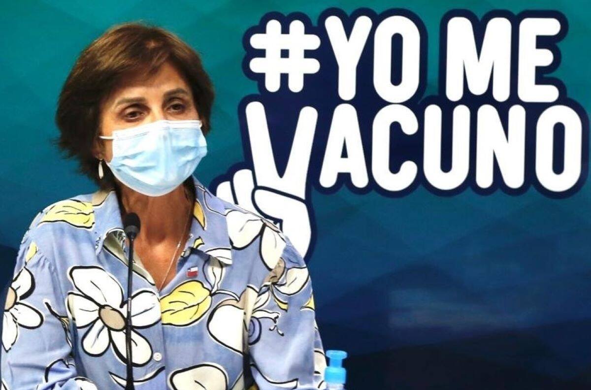 Paula Daza entregó información sobre nuevas variantes británica y brasileña de COVID-19 en Chile
