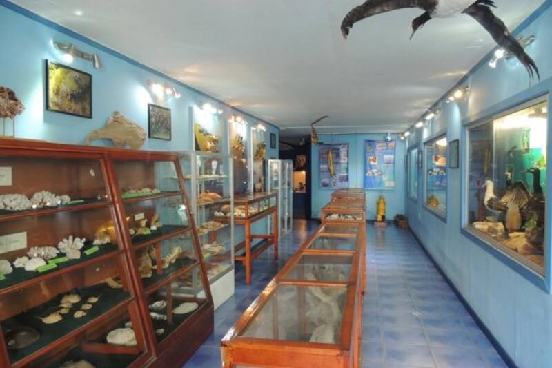 La entrada es gratuita y puedes conocer especies autóctonas de la Región de Coquimbo. Créditos: Registro Museos Chile.