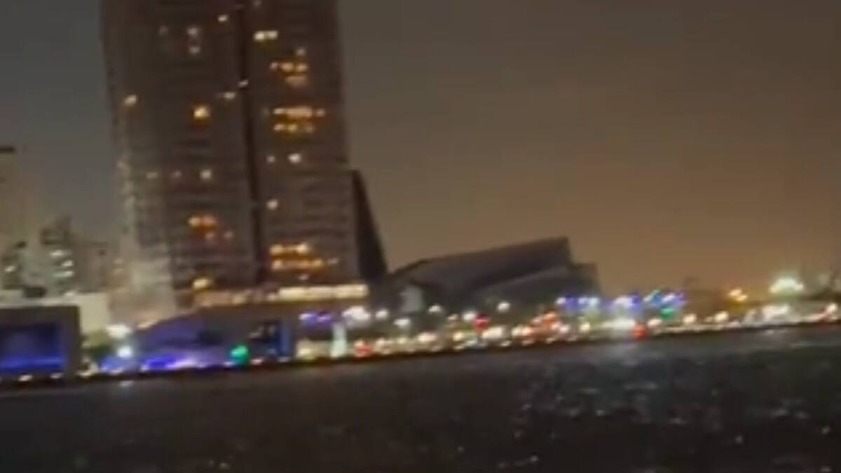 VIDEO | Terremoto en Taiwán generó un alboroto entre los peces en el Río Love