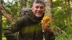 Felipe Braun vuelve a la TV y debutará con una renovada faceta laboral