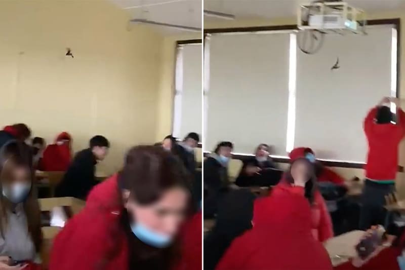 La Seremi de Salud del Bío Bío visitará la institución. Captura Video.