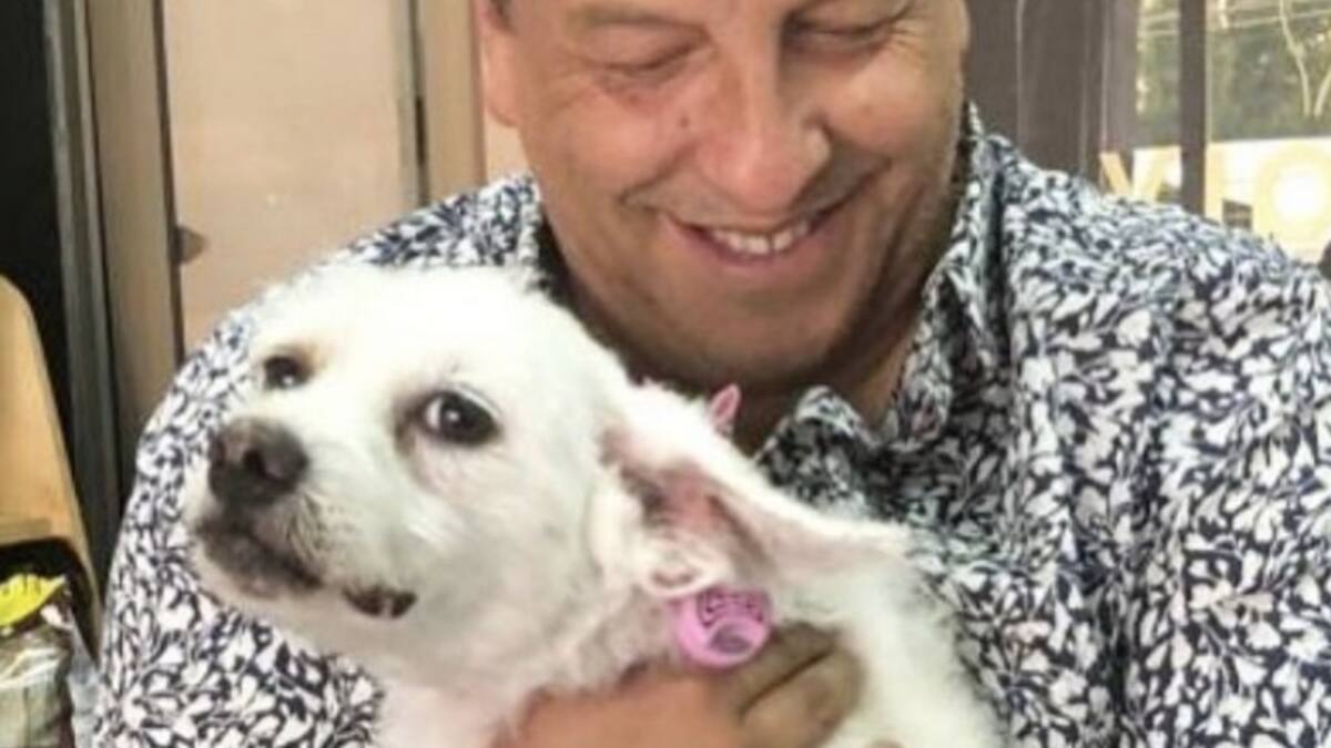 Julio César Rodríguez publicó tierno video de su perrita "Blanquita", estallando en felicidad