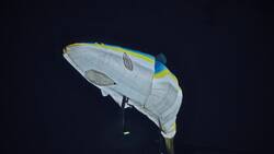 Peces inundan Santiago: Panorama gratuito e imperdible durante enero en la Región Metropolitana