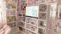 Trucos para ser otaku en Chile y no terminar en la quiebra: Envíos gratis, segunda mano y proxys