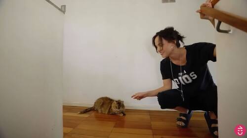 Así fue la simpática presentación del animal.