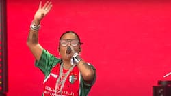 “Las convicciones se llevan hasta la tumba”: El gesto simbólico de Ana Tijoux durante su show en el Festival REC 2025