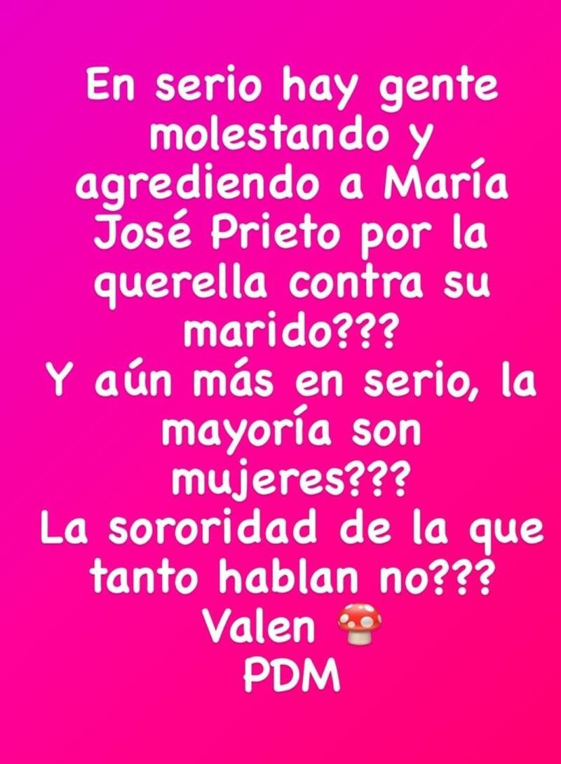 Fran García-Huidobro se descargó en sus historias. Créditos: Instagram