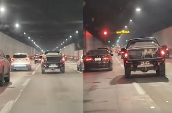 VIDEO | "Dueño irresponsable": Veterinaria capta a perro sin correa en parte trasera de camioneta pickup en Autopista Costanera Norte